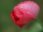 p4020569.jpg