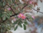 p6045558.jpg